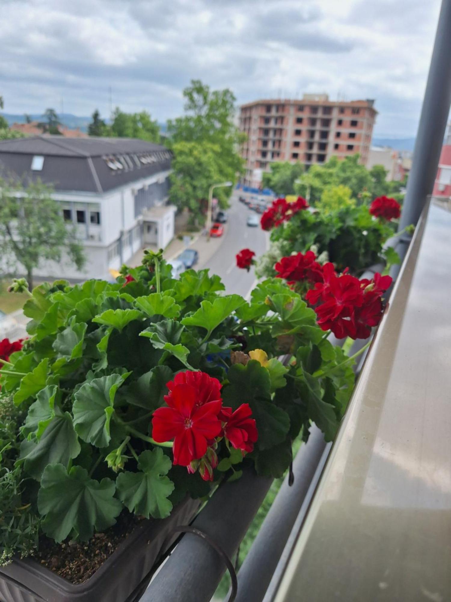 Garni Hotel Ema Крагуевац Экстерьер фото